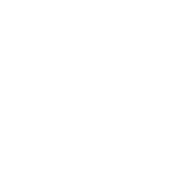The Ascent